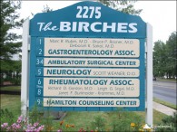 The Birches