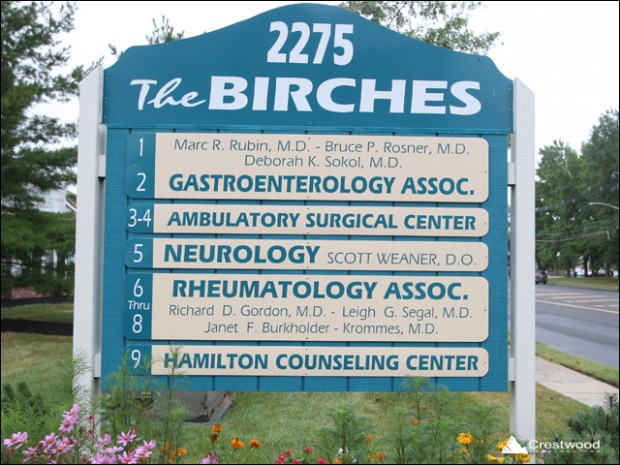 The Birches